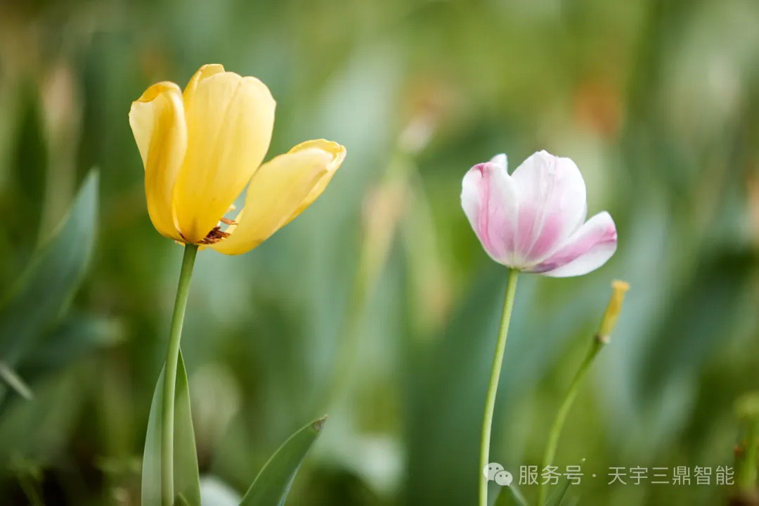 <b>《于平凡的岁月中感知生命：愿你被光阴善待 被岁月呵护》</b>